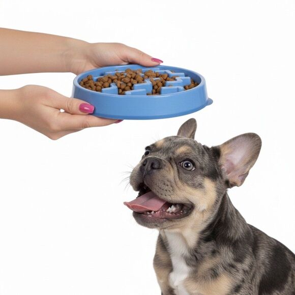 NWT Outward Hound Slo Bowl Blue MEDIUM Slow Feeder Anti Bloat Dog Bowl - Picture 2 of 10